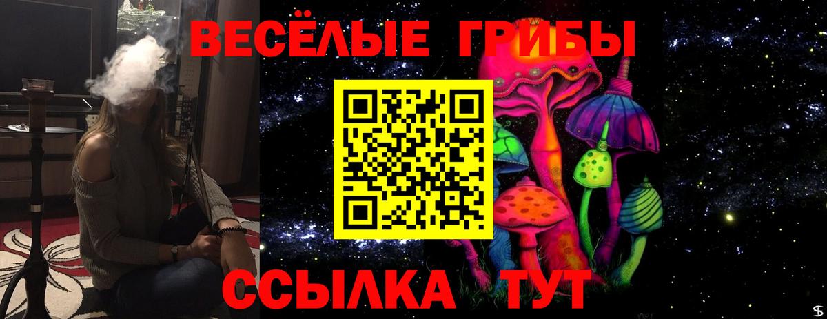 Галлюциногенные грибы GOLDEN TEACHER Печора